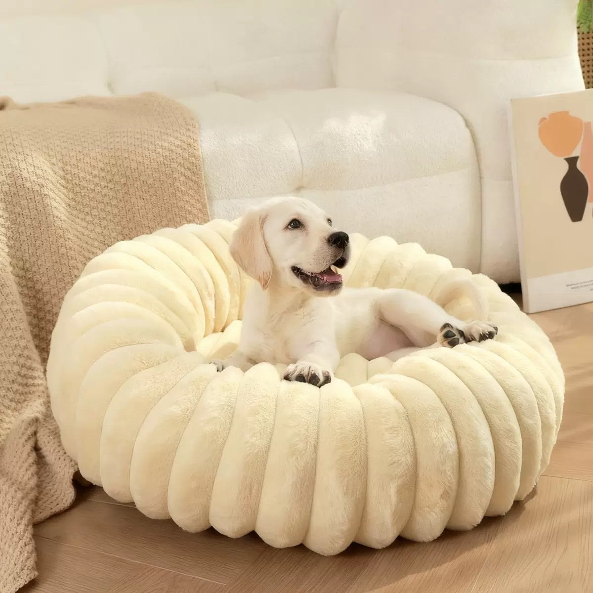 PB354-Cama para mascota