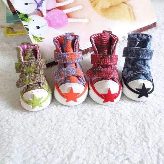 PV01-Zapatitas para mascota
