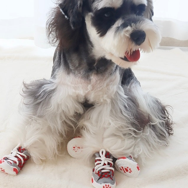PV02-Zapatitas para mascota