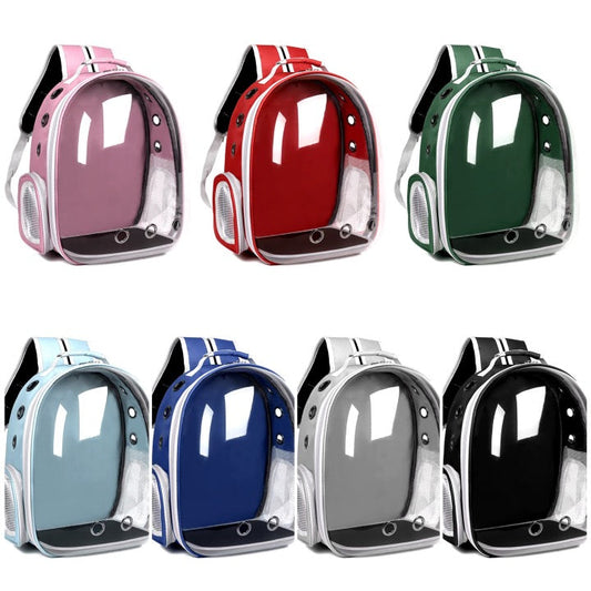 PB347-Mochila transparente