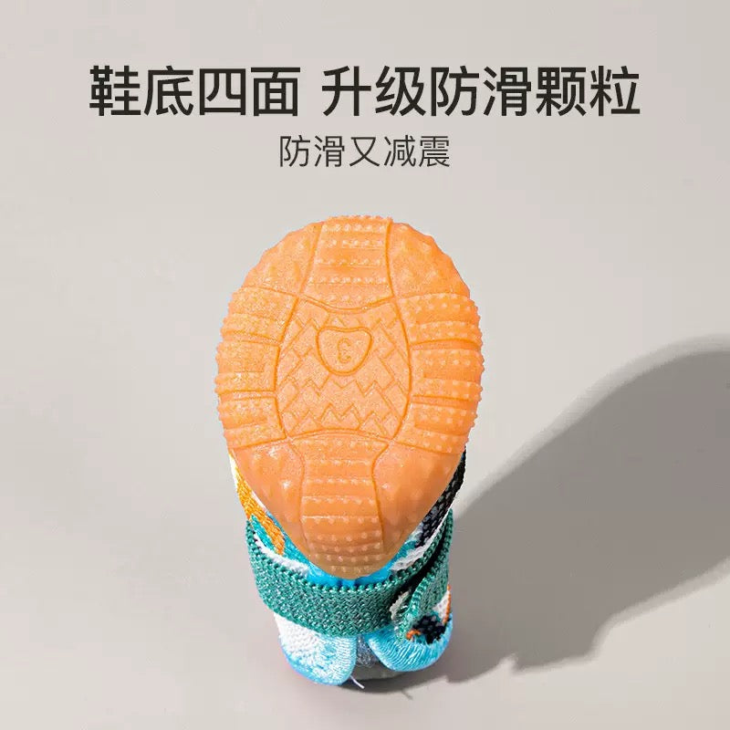 PV04-Zapatitas para mascota