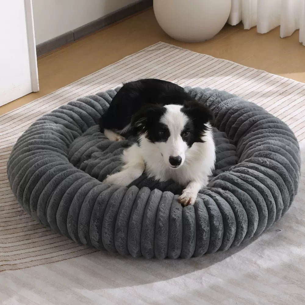 PB354-Cama para mascota